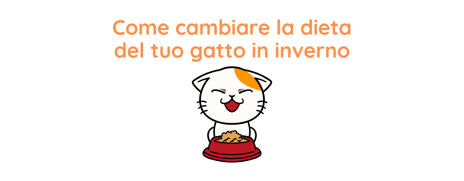 COME CAMBIARE LA DIETA DEL TUO GATTO IN INVERNO