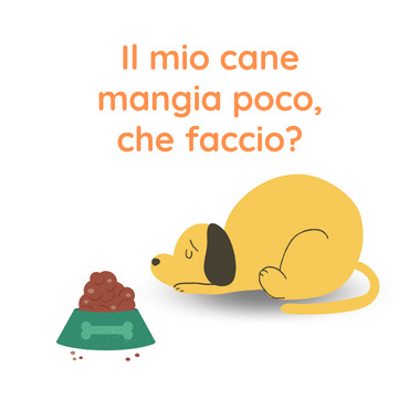 Cosa fare quando il cane mangia poco